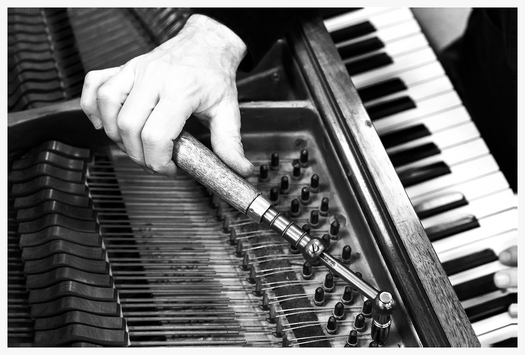 Expert Piano Tuner